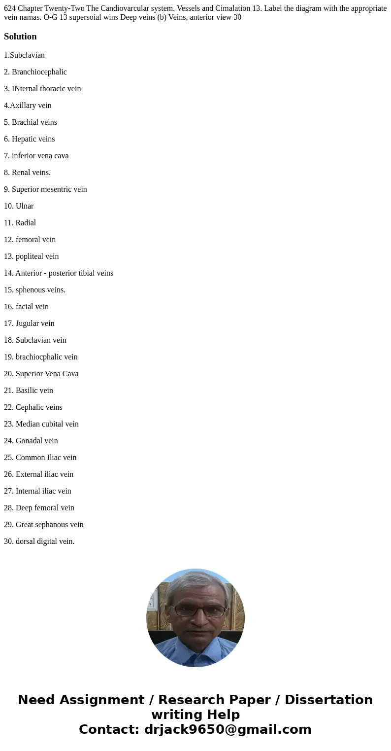 624 Chapter Twenty-Two The Candiovarcular system. Vessels and Cimalation 13. Label the diagram with the appropriate vein namas. O-G 13 supersoial wins Deep vei  624 Chapter Twenty-Two The Candiovarcular system. Vessels and Cimalation 13. Label the diagram with the appropriate vein namas. O-G 13 supersoial wins Deep vei
