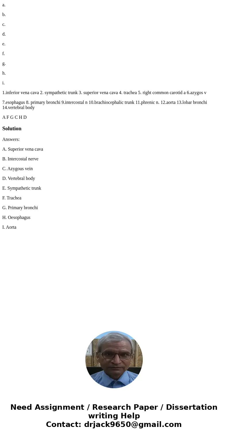 a. b. c. d. e. f. g. h. i. 1.inferior vena cava 2. sympathetic trunk 3. superior vena cava 4. trachea 5. right common carotid a 6.azygos v 7.esophagus 8. primar a. b. c. d. e. f. g. h. i. 1.inferior vena cava 2. sympathetic trunk 3. superior vena cava 4. trachea 5. right common carotid a 6.azygos v 7.esophagus 8. primar