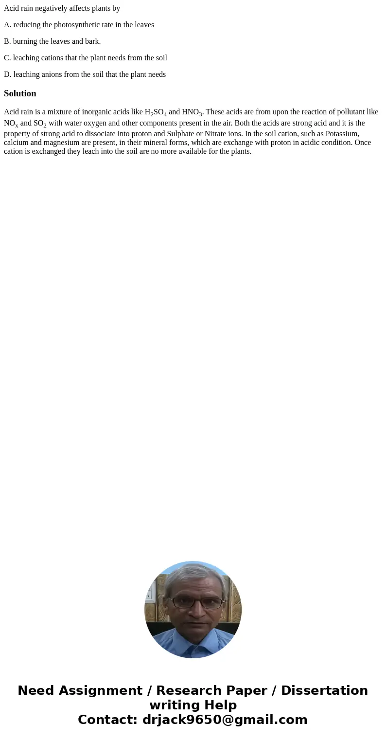 Acid rain negatively affects plants by A. reducing the photosynthetic rate in the leaves B. burning the leaves and bark. C. leaching cations that the plant need Acid rain negatively affects plants by A. reducing the photosynthetic rate in the leaves B. burning the leaves and bark. C. leaching cations that the plant need