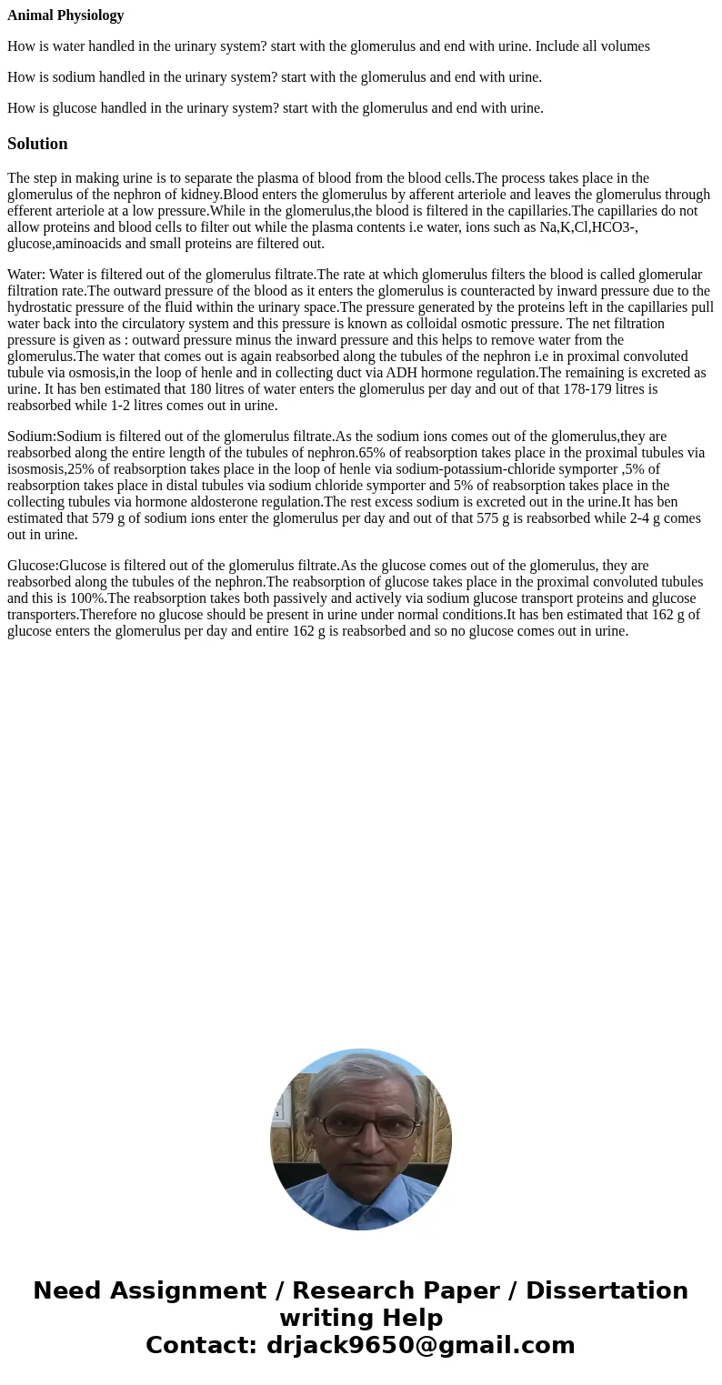 Animal Physiology How is water handled in the urinary system? start with the glomerulus and end with urine. Include all volumes How is sodium handled in the uri Animal Physiology How is water handled in the urinary system? start with the glomerulus and end with urine. Include all volumes How is sodium handled in the uri