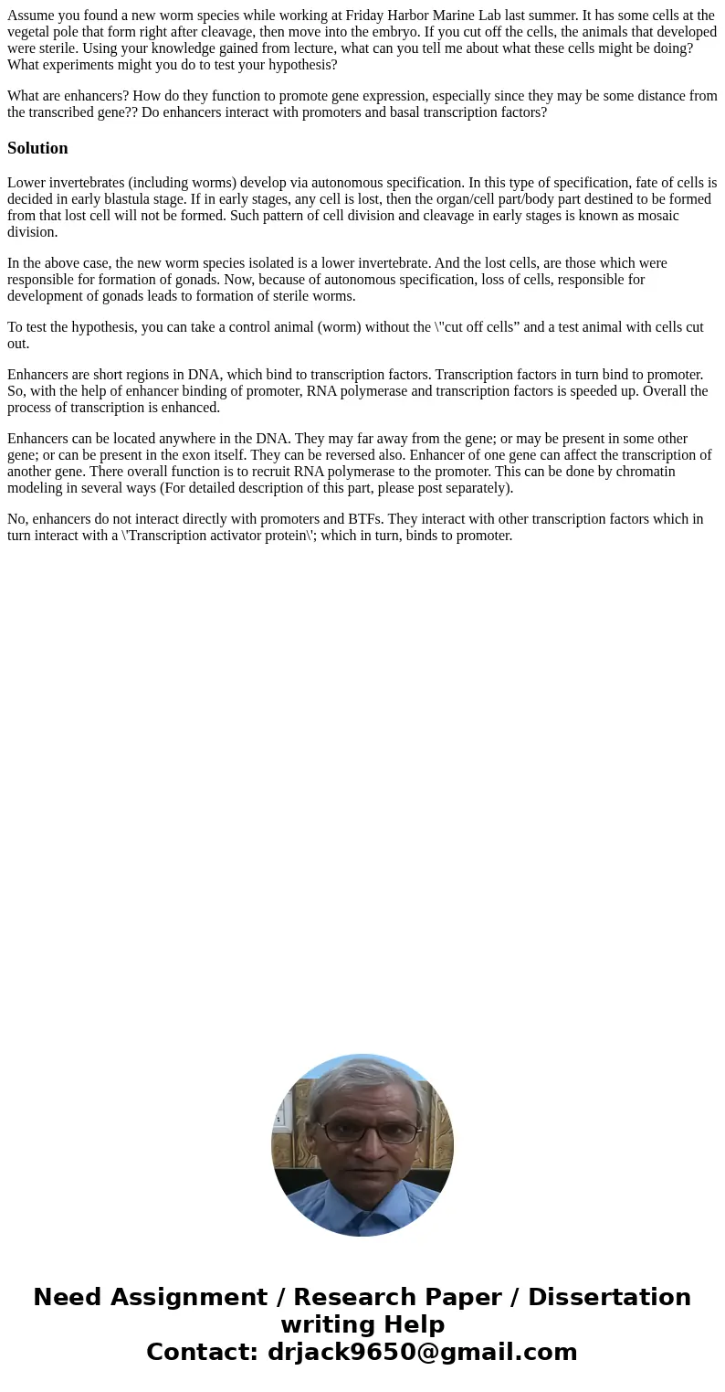 Assume you found a new worm species while working at Friday Harbor Marine Lab last summer. It has some cells at the vegetal pole that form right after cleavage, Assume you found a new worm species while working at Friday Harbor Marine Lab last summer. It has some cells at the vegetal pole that form right after cleavage,