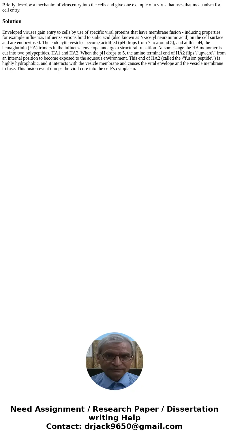 Briefly describe a mechanim of virus entry into the cells and give one example of a virus that uses that mechanism for cell entry.SolutionEnveloped viruses gain Briefly describe a mechanim of virus entry into the cells and give one example of a virus that uses that mechanism for cell entry.SolutionEnveloped viruses gain