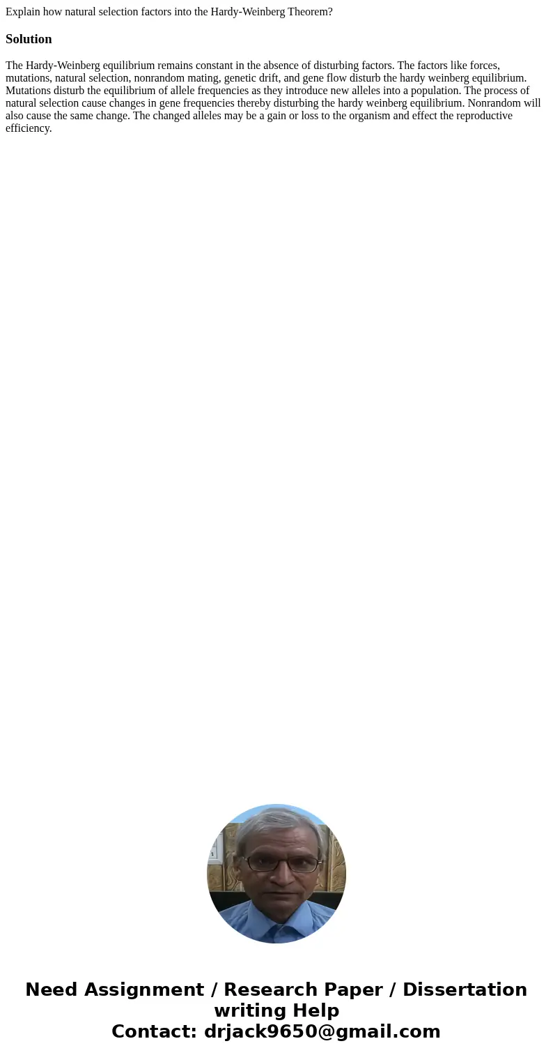 Explain how natural selection factors into the Hardy-Weinberg Theorem?SolutionThe Hardy-Weinberg equilibrium remains constant in the absence of disturbing fact  Explain how natural selection factors into the Hardy-Weinberg Theorem?SolutionThe Hardy-Weinberg equilibrium remains constant in the absence of disturbing fact