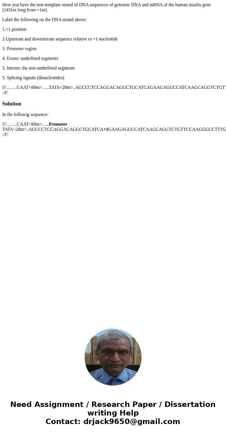 Here you have the non-template strand of DNA sequences of genomic DNA and mRNA of the human insulin gene (1431nt long from +1nt). Label the following on the DNA Here you have the non-template strand of DNA sequences of genomic DNA and mRNA of the human insulin gene (1431nt long from +1nt). Label the following on the DNA