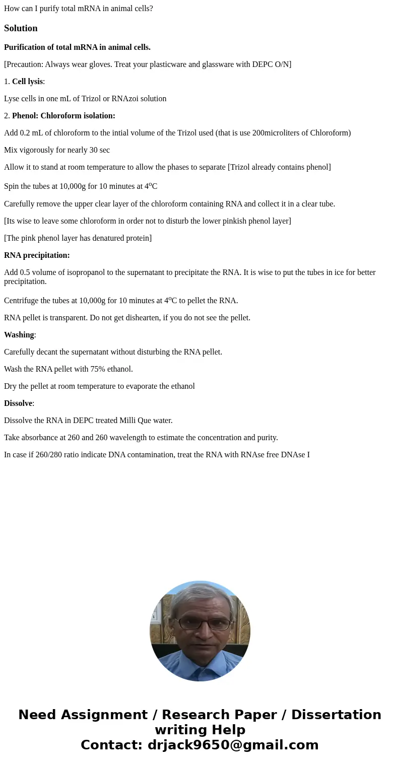 How can I purify total mRNA in animal cells?SolutionPurification of total mRNA in animal cells. [Precaution: Always wear gloves. Treat your plasticware and glas How can I purify total mRNA in animal cells?SolutionPurification of total mRNA in animal cells. [Precaution: Always wear gloves. Treat your plasticware and glas