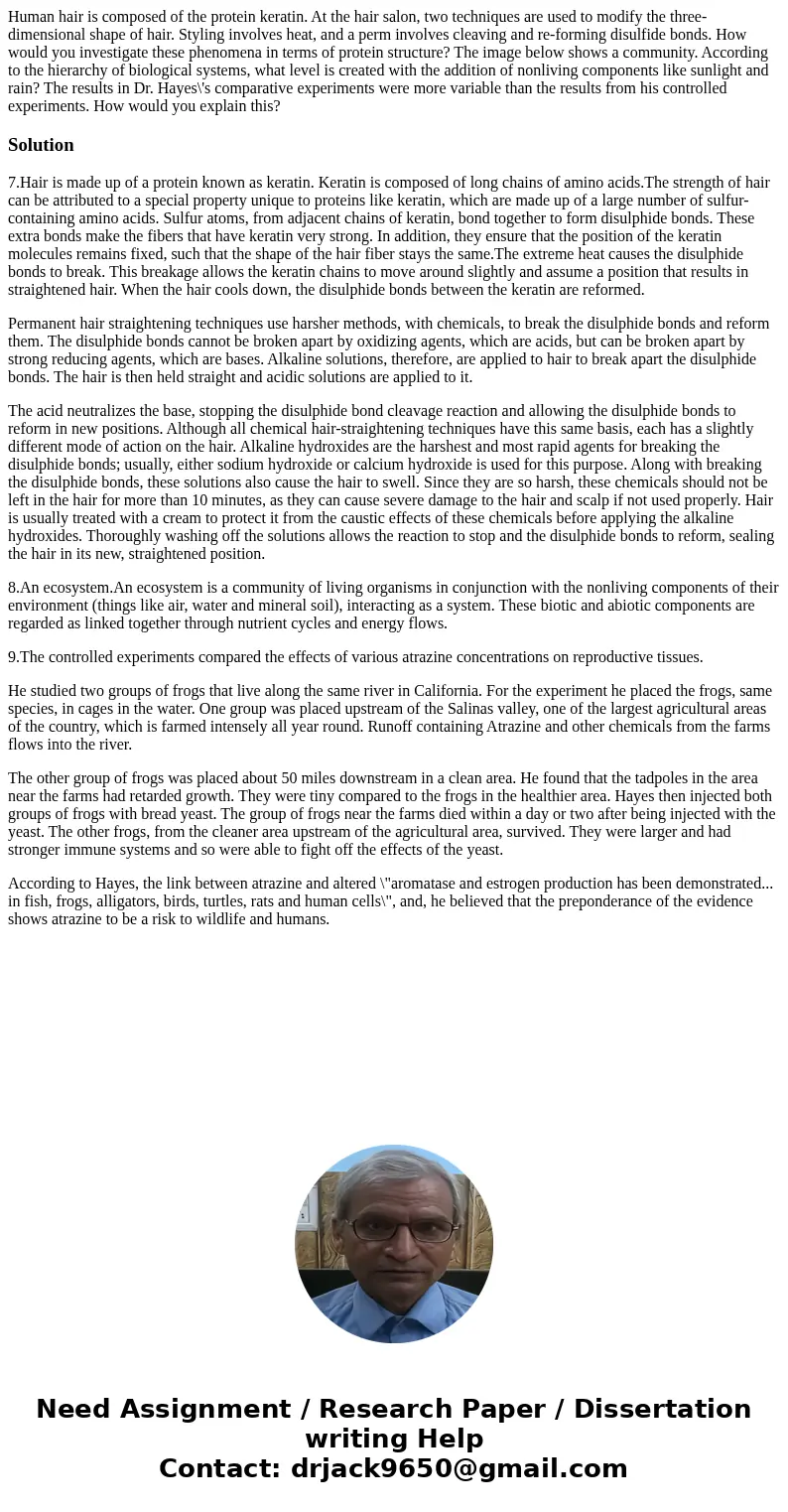  Human hair is composed of the protein keratin. At the hair salon, two techniques are used to modify the three-dimensional shape of hair. Styling involves heat,