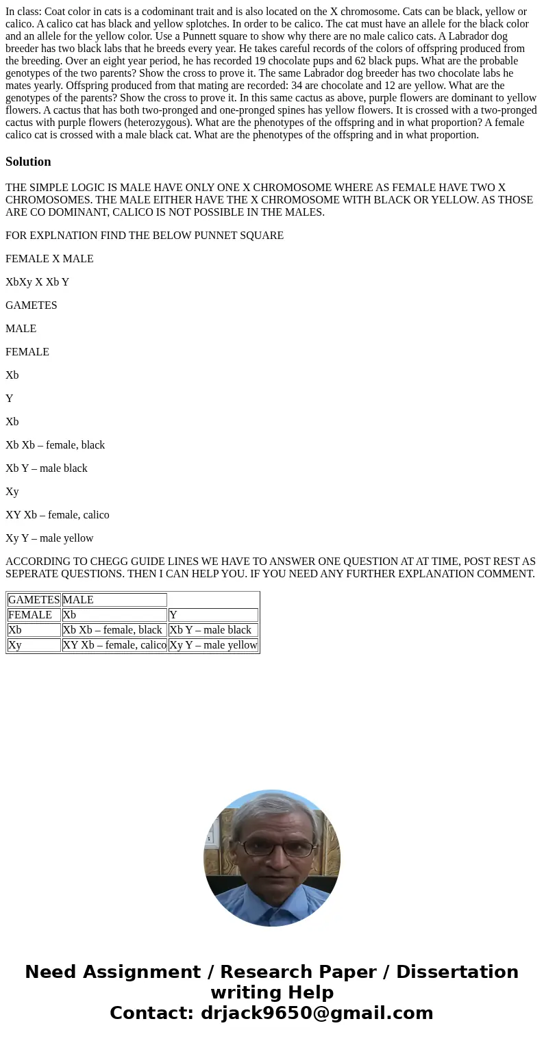  In class: Coat color in cats is a codominant trait and is also located on the X chromosome. Cats can be black, yellow or calico. A calico cat has black and yel
