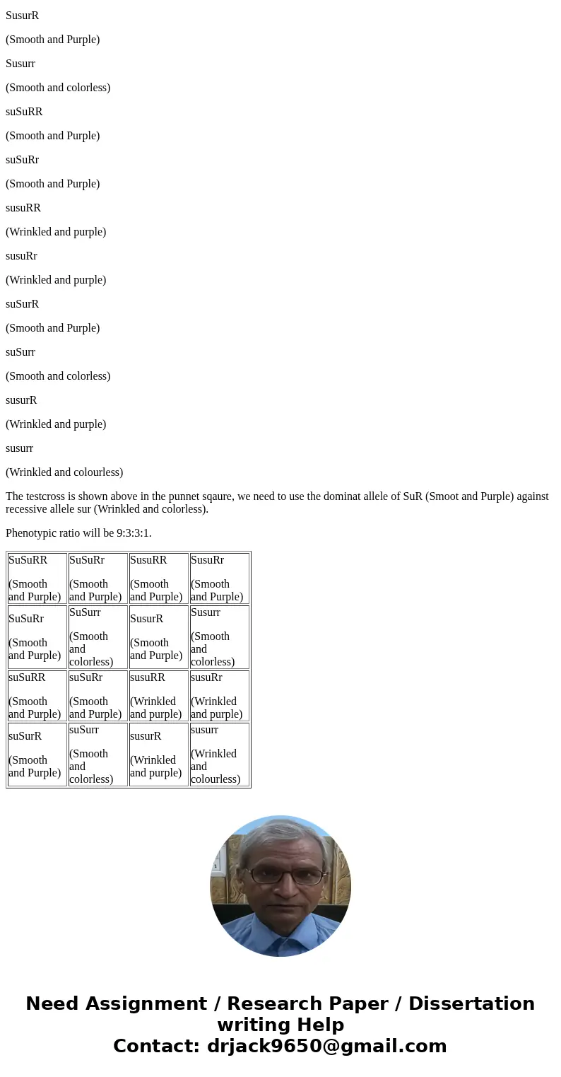In corn, kernels are usually smooth due to the Su allele. The recessive su allele gives the kernel a wrinkled appearance. Likewise, kernel color in corn can eit