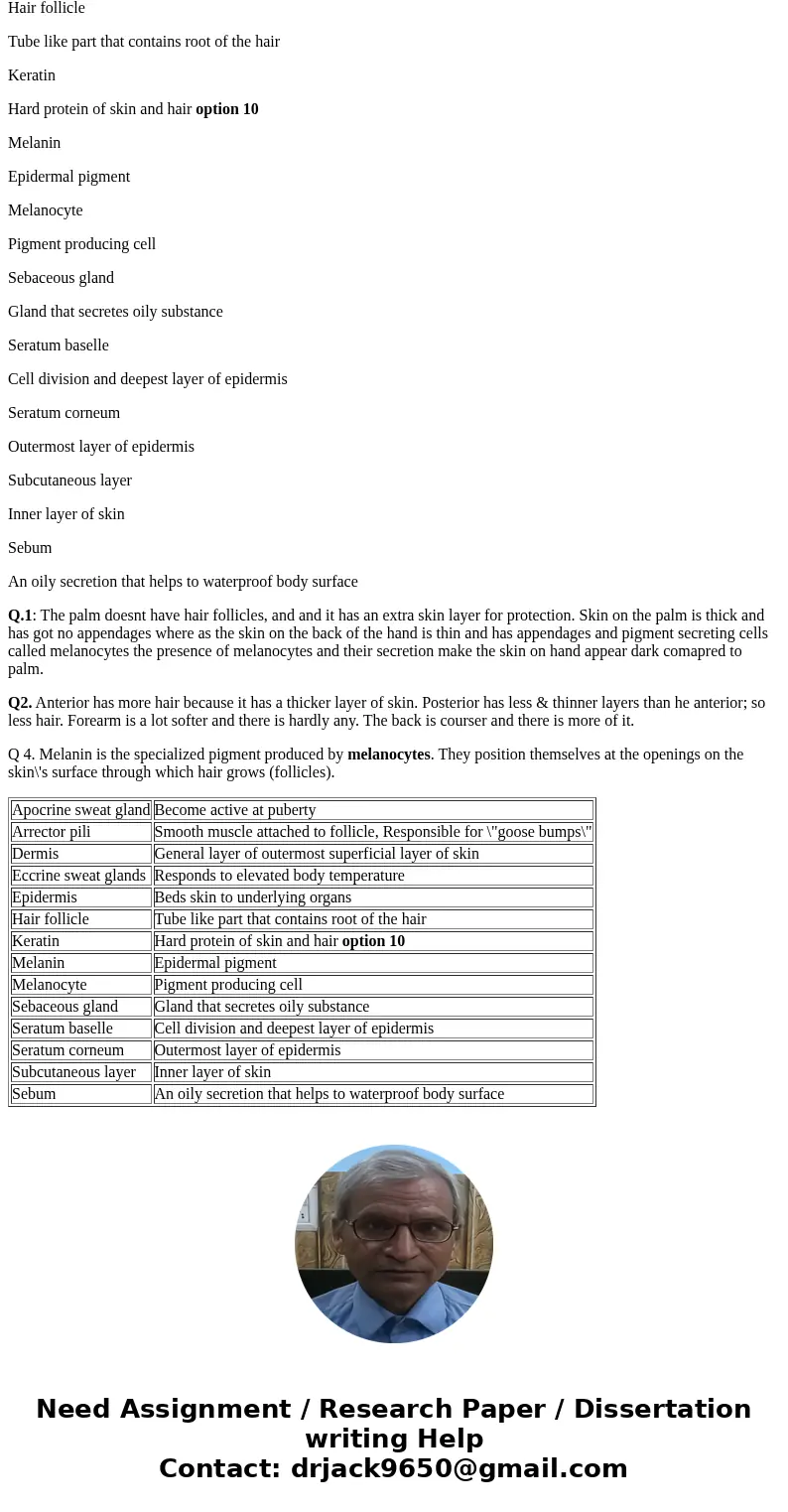 Laboratory Report 1 O INTEGUMENTARY SYSTEM Responds to body 9 Gland that secresns an oily whwuance Cell division and deepest layer of epidermis 13. Tubetike pa  Laboratory Report 1 O INTEGUMENTARY SYSTEM Responds to body 9 Gland that secresns an oily whwuance Cell division and deepest layer of epidermis 13. Tubetike pa