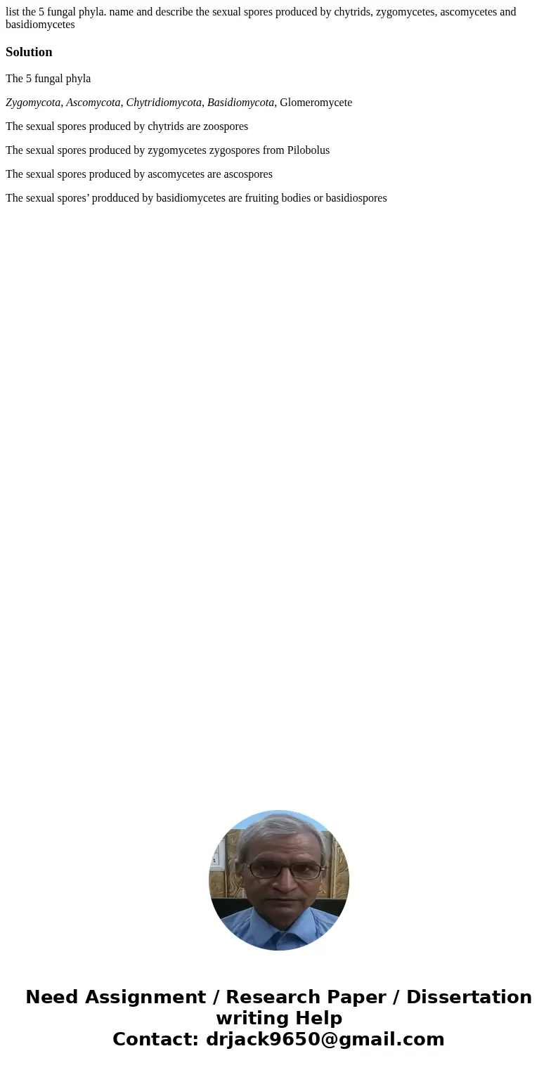 list the 5 fungal phyla. name and describe the sexual spores produced by chytrids, zygomycetes, ascomycetes and basidiomycetesSolutionThe 5 fungal phyla Zygomyc list the 5 fungal phyla. name and describe the sexual spores produced by chytrids, zygomycetes, ascomycetes and basidiomycetesSolutionThe 5 fungal phyla Zygomyc