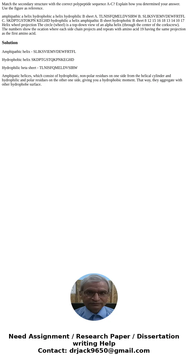 Match the secondary structure with the correct polypeptide sequence A-C? Explain how you determined your answer. Use the figure as reference. amphipathic a heli Match the secondary structure with the correct polypeptide sequence A-C? Explain how you determined your answer. Use the figure as reference. amphipathic a heli