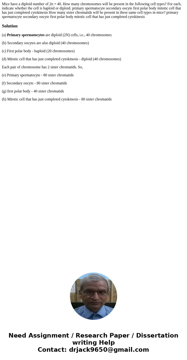 Mice have a diploid number of 2n = 40. How many chromosomes will be present in the following cell types? For each, indicate whether the cell is haploid or dipl  Mice have a diploid number of 2n = 40. How many chromosomes will be present in the following cell types? For each, indicate whether the cell is haploid or dipl