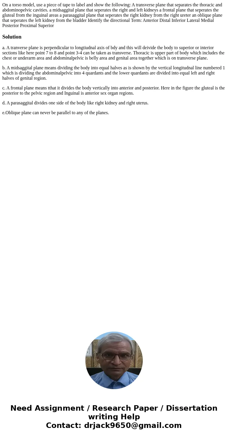 On a torso model, use a piece of tape to label and show the following: A transverse plane that separates the thoracic and abdominopelvic cavities. a midsaggita  On a torso model, use a piece of tape to label and show the following: A transverse plane that separates the thoracic and abdominopelvic cavities. a midsaggita