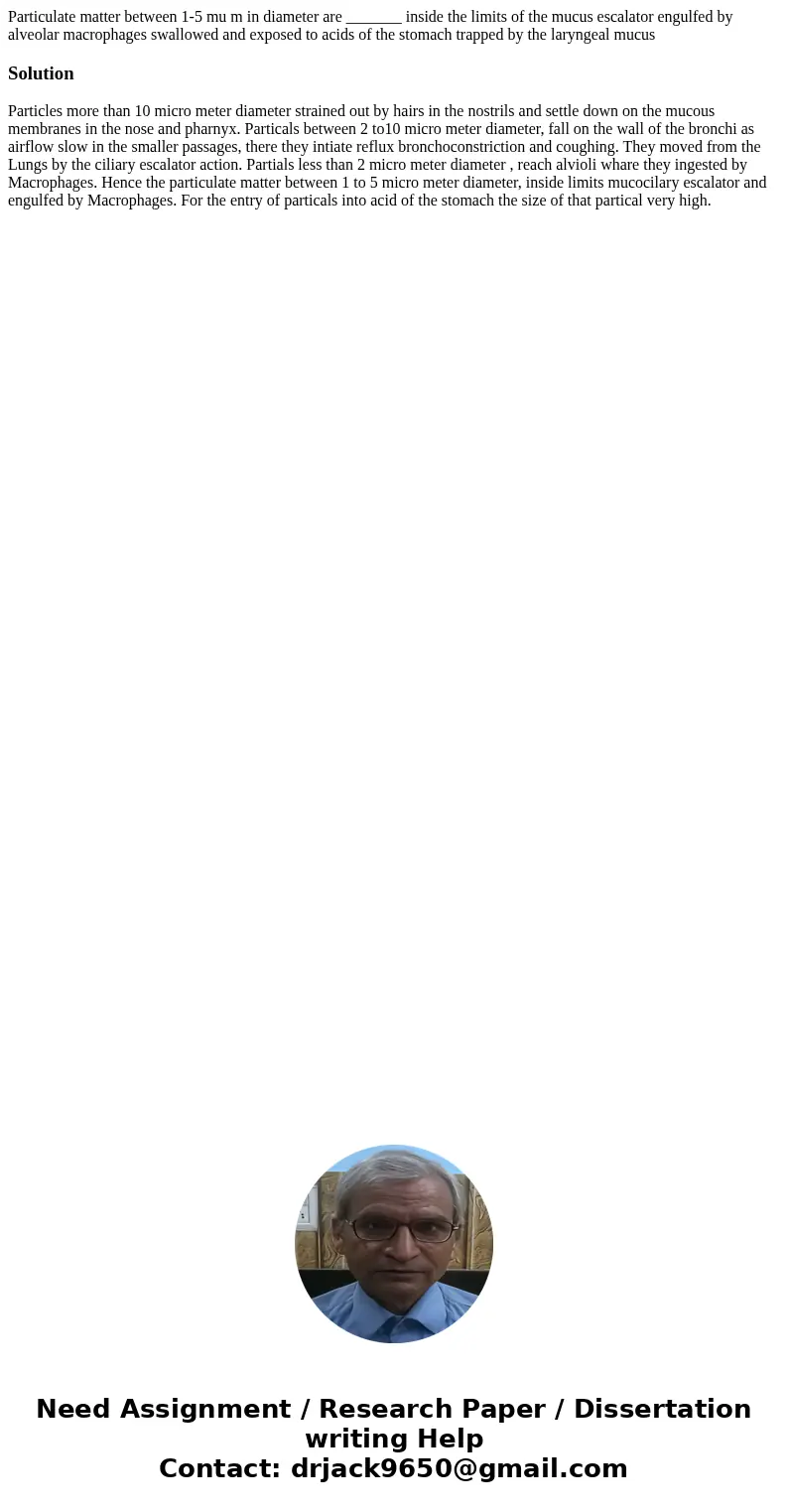 Particulate matter between 1-5 mu m in diameter are _______ inside the limits of the mucus escalator engulfed by alveolar macrophages swallowed and exposed to   Particulate matter between 1-5 mu m in diameter are _______ inside the limits of the mucus escalator engulfed by alveolar macrophages swallowed and exposed to