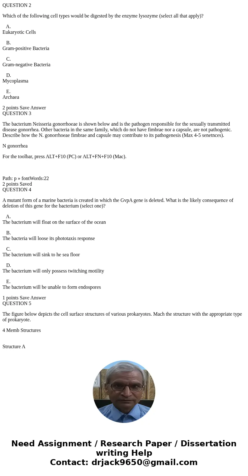 QUESTION 2 Which of the following cell types would be digested by the enzyme lysozyme (select all that apply)? A. Eukaryotic Cells B. Gram-positive Bacteria C.  QUESTION 2 Which of the following cell types would be digested by the enzyme lysozyme (select all that apply)? A. Eukaryotic Cells B. Gram-positive Bacteria C.