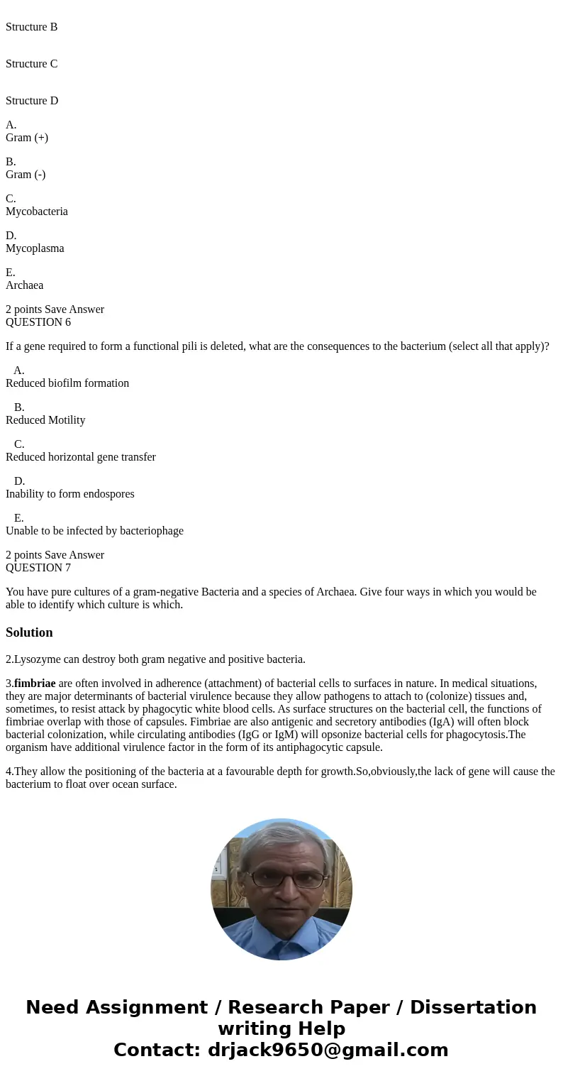 QUESTION 2 Which of the following cell types would be digested by the enzyme lysozyme (select all that apply)? A. Eukaryotic Cells B. Gram-positive Bacteria C.  QUESTION 2 Which of the following cell types would be digested by the enzyme lysozyme (select all that apply)? A. Eukaryotic Cells B. Gram-positive Bacteria C.