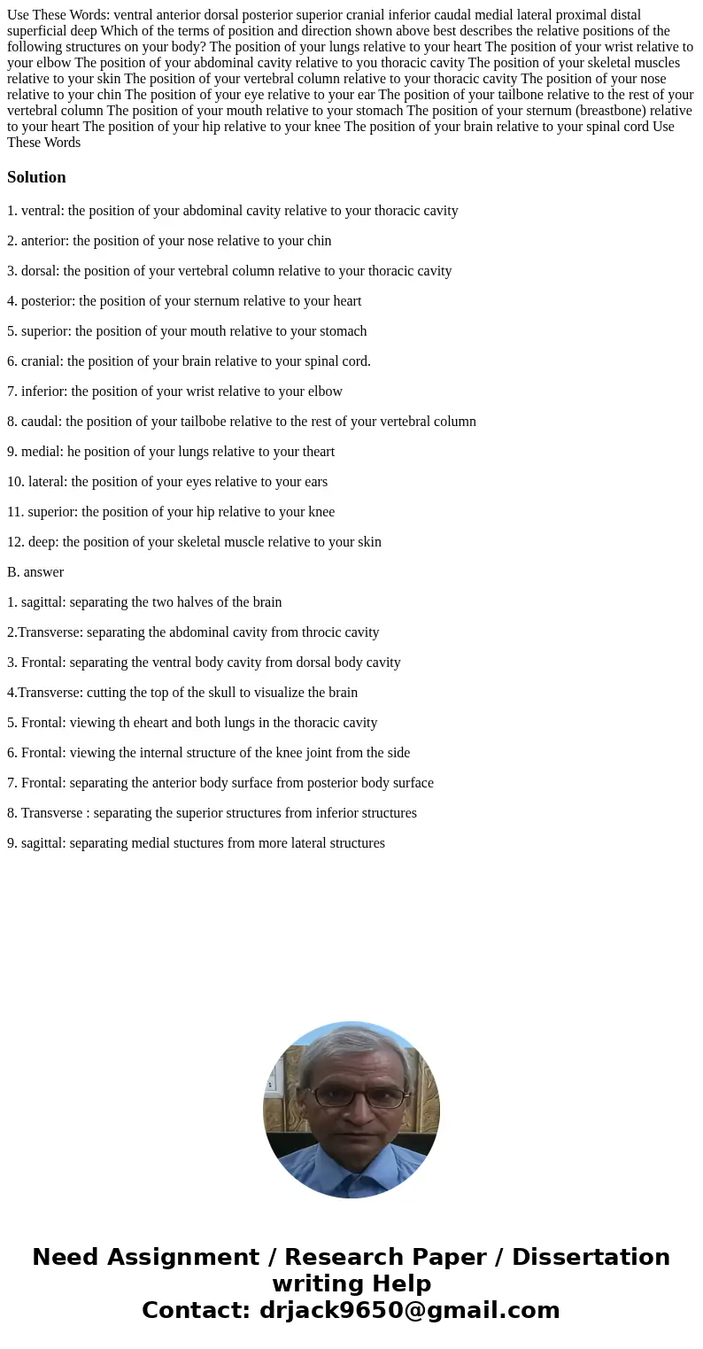 Use These Words: ventral anterior dorsal posterior superior cranial inferior caudal medial lateral proximal distal superficial deep Which of the terms of posit  Use These Words: ventral anterior dorsal posterior superior cranial inferior caudal medial lateral proximal distal superficial deep Which of the terms of posit