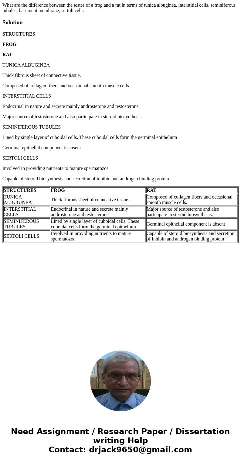 What are the difference between the testes of a frog and a rat in terms of tunica albuginea, interstitial cells, seminiferous tubules, basement membrane, sertol