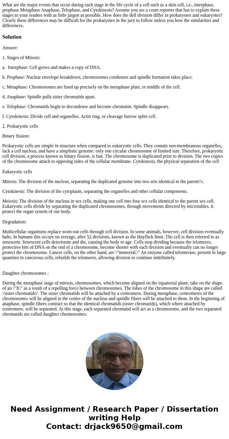 What are the major events that occur during each stage in the life cycle of a cell such as a skin cell, i.e., interphase, prophase Metaphase Anaphase, Telophas  What are the major events that occur during each stage in the life cycle of a cell such as a skin cell, i.e., interphase, prophase Metaphase Anaphase, Telophas
