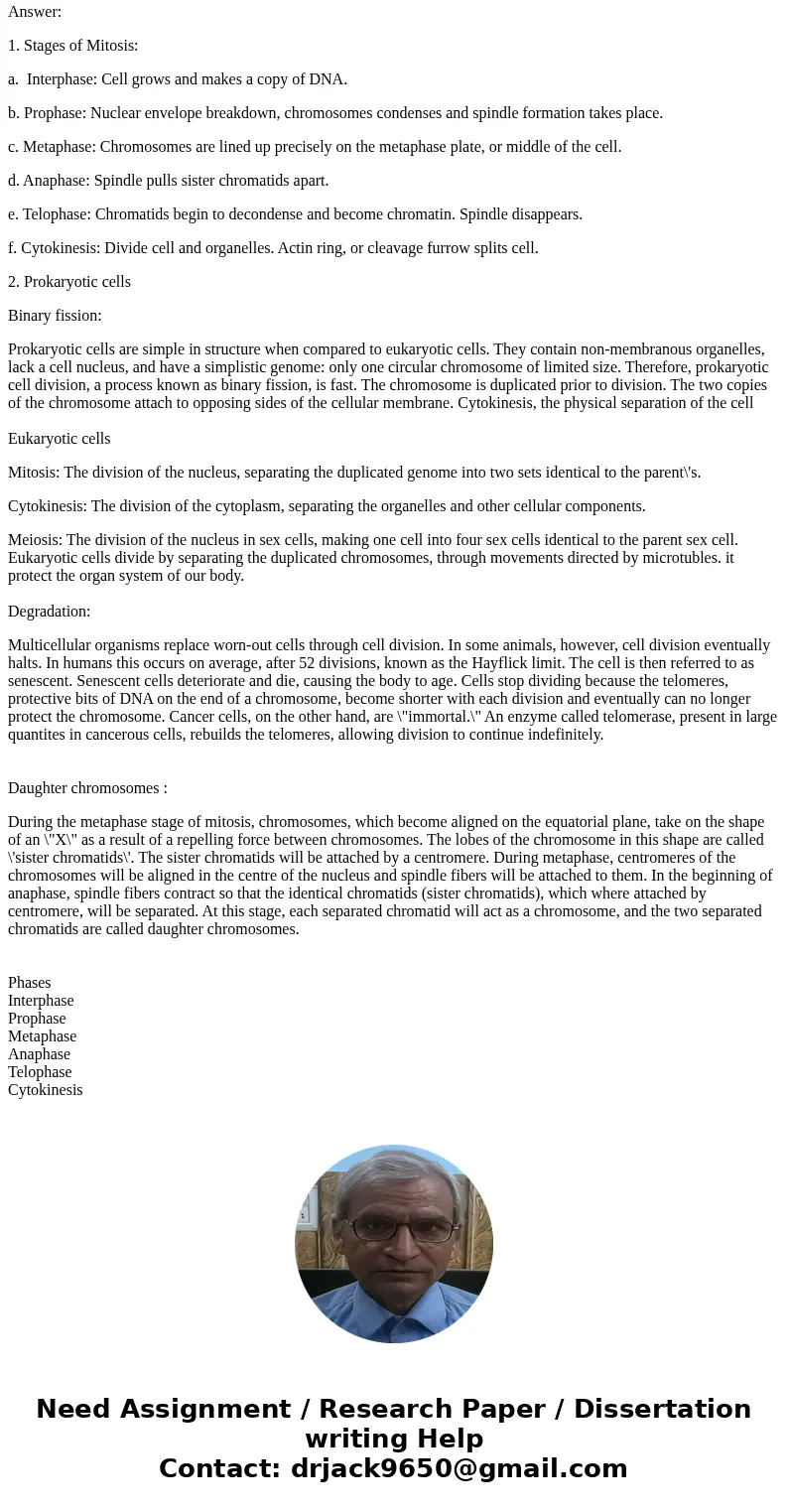 What are the major events that occur during each stage in the life cycle of a cell such as a skin cell, i.e., interphase, prophase Metaphase Anaphase, Telophas  What are the major events that occur during each stage in the life cycle of a cell such as a skin cell, i.e., interphase, prophase Metaphase Anaphase, Telophas