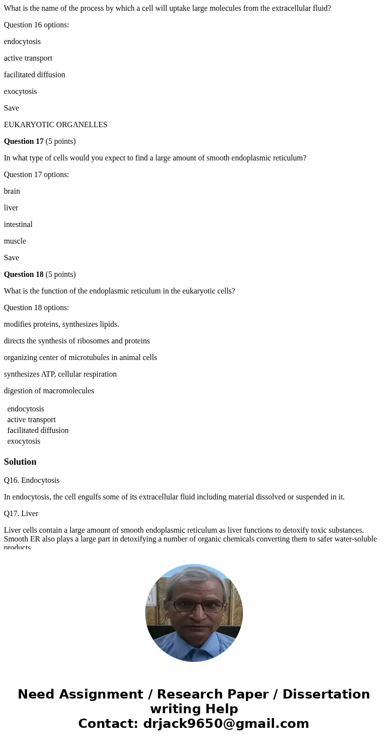 What is the name of the process by which a cell will uptake large molecules from the extracellular fluid? Question 16 options: endocytosis active transport faci What is the name of the process by which a cell will uptake large molecules from the extracellular fluid? Question 16 options: endocytosis active transport faci