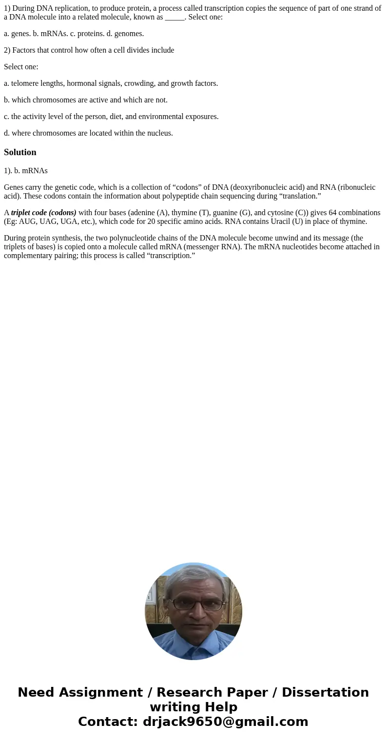 1) During DNA replication, to produce protein, a process called transcription copies the sequence of part of one strand of a DNA molecule into a related molecul 1) During DNA replication, to produce protein, a process called transcription copies the sequence of part of one strand of a DNA molecule into a related molecul