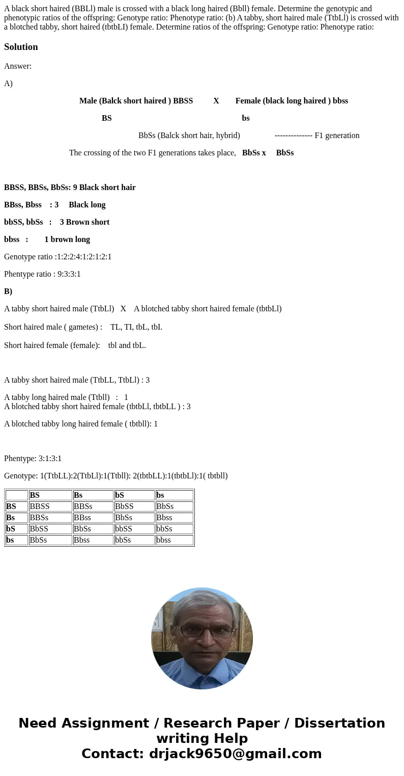 A black short haired (BBLl) male is crossed with a black long haired (Bbll) female. Determine the genotypic and phenotypic ratios of the offspring: Genotype ra  A black short haired (BBLl) male is crossed with a black long haired (Bbll) female. Determine the genotypic and phenotypic ratios of the offspring: Genotype ra