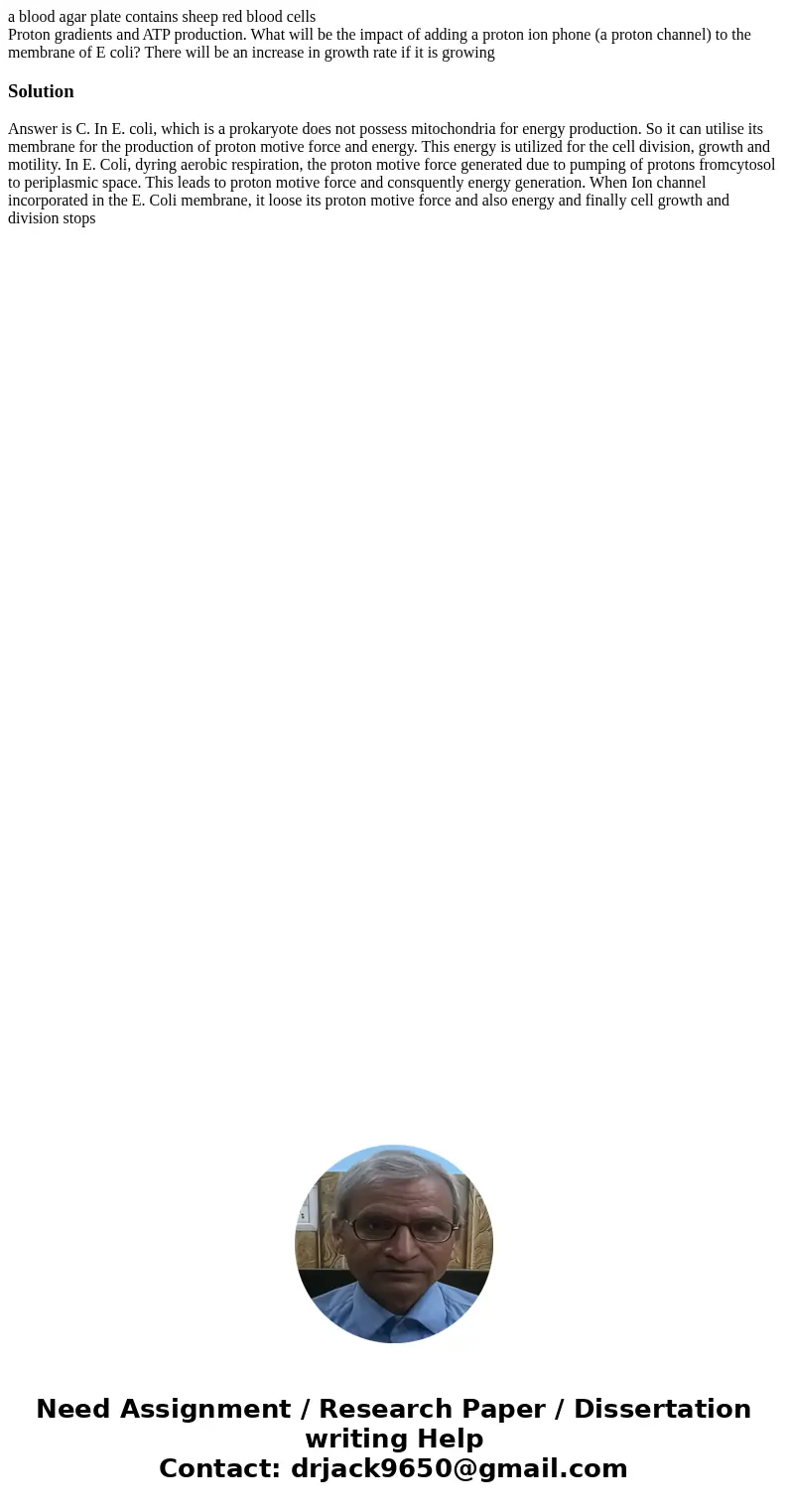 a blood agar plate contains sheep red blood cells Proton gradients and ATP production. What will be the impact of adding a proton ion phone (a proton channel) t