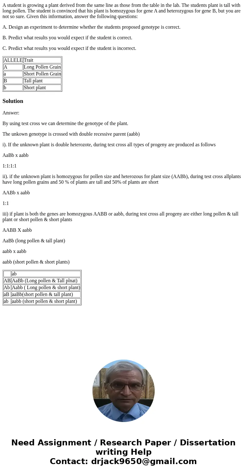 A student is growing a plant derived from the same line as those from the table in the lab. The students plant is tall with long pollen. The student is convince A student is growing a plant derived from the same line as those from the table in the lab. The students plant is tall with long pollen. The student is convince