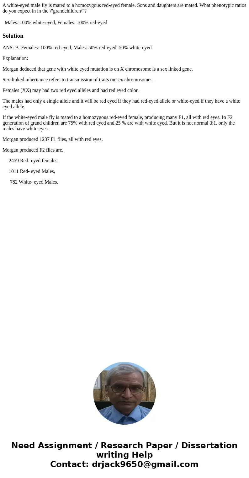 A white-eyed male fly is mated to a homozygous red-eyed female. Sons and daughters are mated. What phenotypic ratios do you expect in in the \ A white-eyed male fly is mated to a homozygous red-eyed female. Sons and daughters are mated. What phenotypic ratios do you expect in in the \