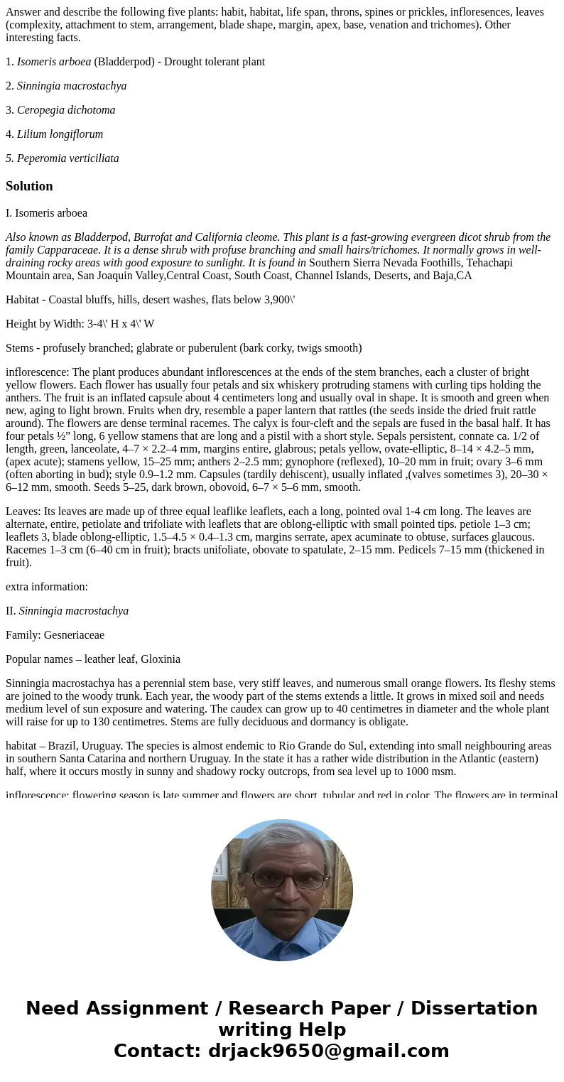 Answer and describe the following five plants: habit, habitat, life span, throns, spines or prickles, infloresences, leaves (complexity, attachment to stem, arr Answer and describe the following five plants: habit, habitat, life span, throns, spines or prickles, infloresences, leaves (complexity, attachment to stem, arr