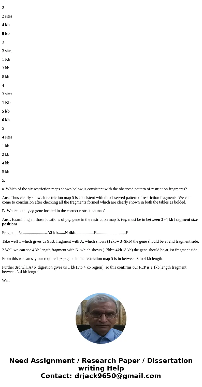 Can you please help me with these questions and explain how to read a gel electrophoresis pattern and restriction maps, thank you 5. The agarose gel at the righ