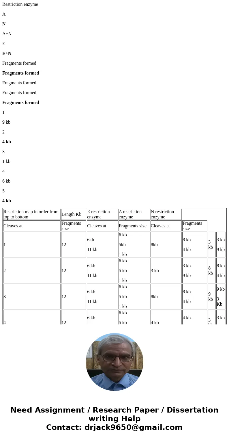 Can you please help me with these questions and explain how to read a gel electrophoresis pattern and restriction maps, thank you 5. The agarose gel at the righ