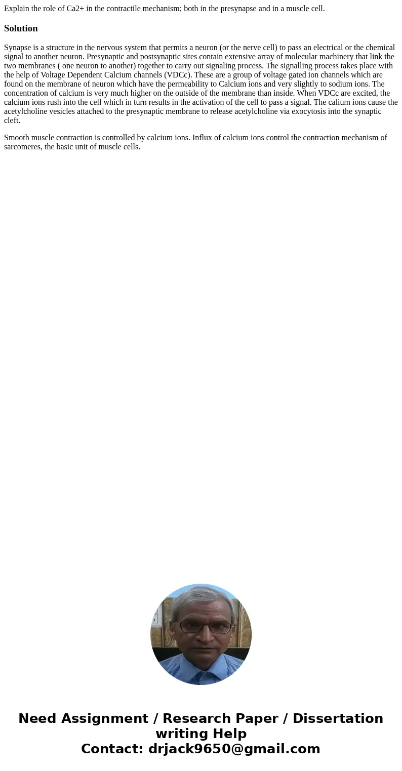 Explain the role of Ca2+ in the contractile mechanism; both in the presynapse and in a muscle cell.SolutionSynapse is a structure in the nervous system that per Explain the role of Ca2+ in the contractile mechanism; both in the presynapse and in a muscle cell.SolutionSynapse is a structure in the nervous system that per