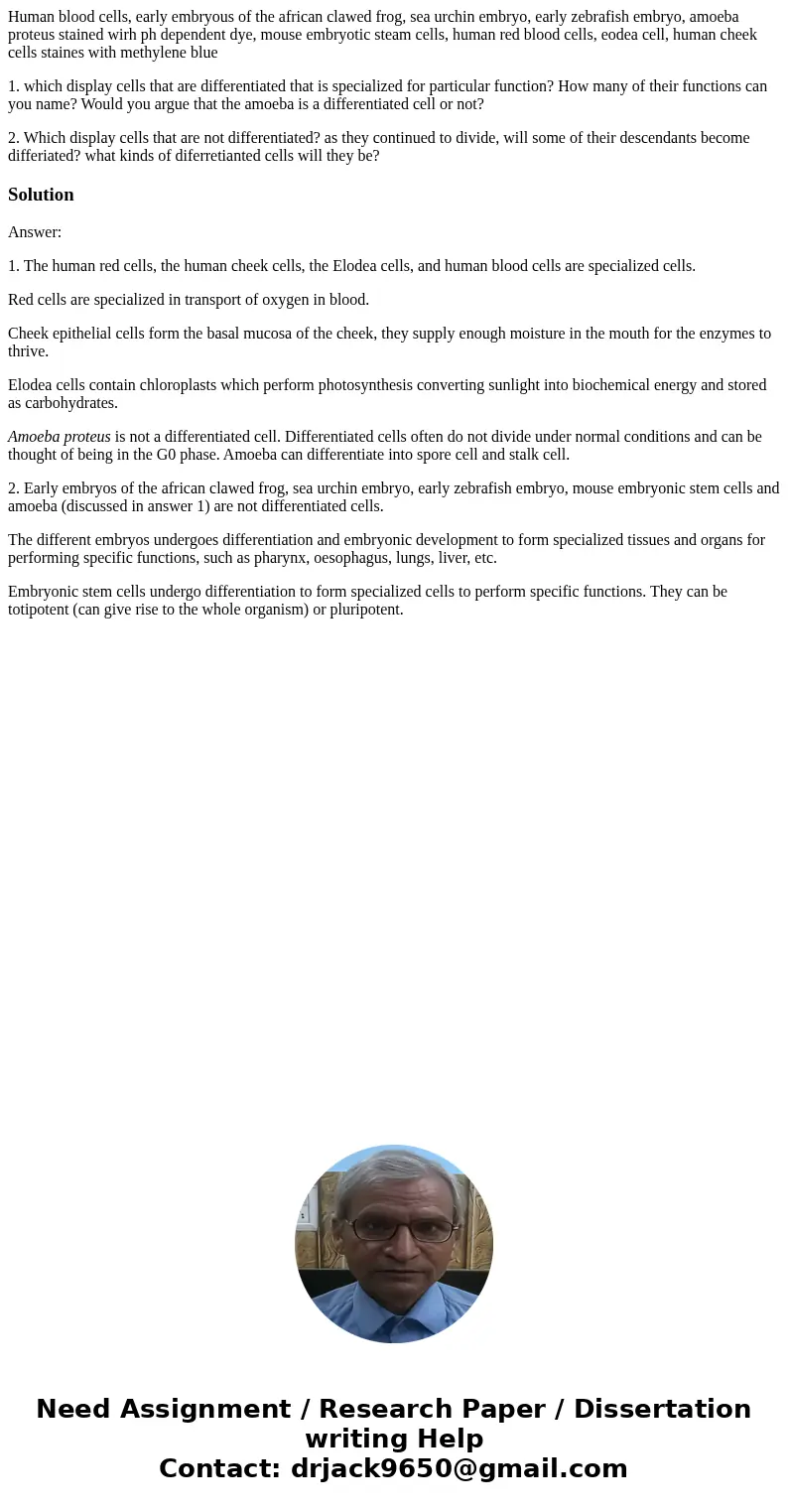 Human blood cells, early embryous of the african clawed frog, sea urchin embryo, early zebrafish embryo, amoeba proteus stained wirh ph dependent dye, mouse emb Human blood cells, early embryous of the african clawed frog, sea urchin embryo, early zebrafish embryo, amoeba proteus stained wirh ph dependent dye, mouse emb