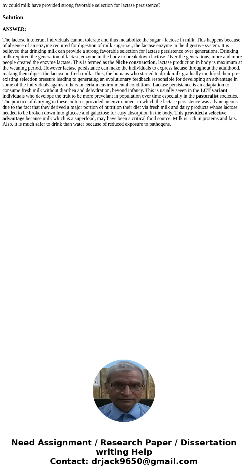hy could milk have provided strong favorable selection for lactase persistence?SolutionANSWER: The lactose intolerant individuals cannot tolerate and thus metab hy could milk have provided strong favorable selection for lactase persistence?SolutionANSWER: The lactose intolerant individuals cannot tolerate and thus metab