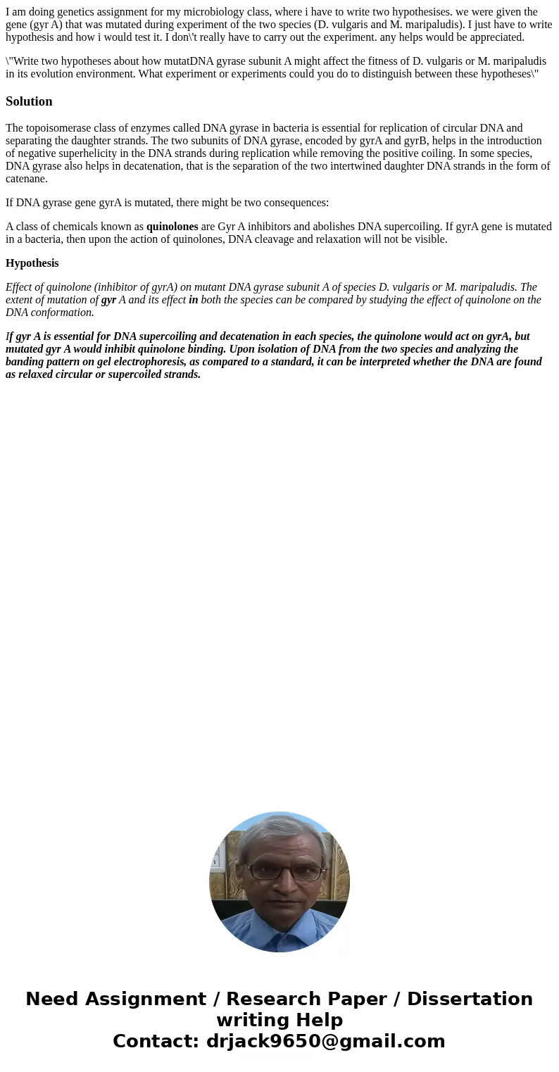 I am doing genetics assignment for my microbiology class, where i have to write two hypothesises. we were given the gene (gyr A) that was mutated during experim I am doing genetics assignment for my microbiology class, where i have to write two hypothesises. we were given the gene (gyr A) that was mutated during experim