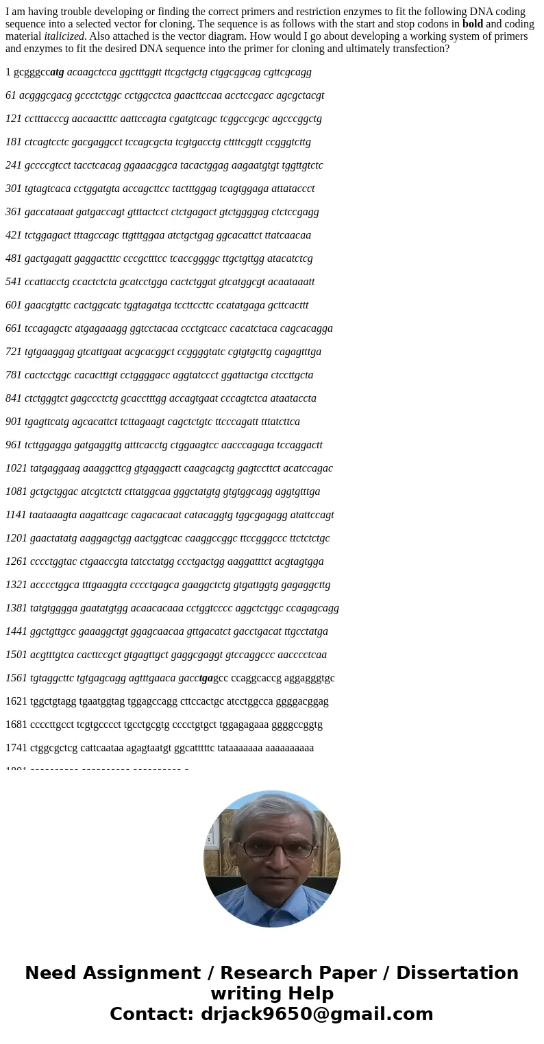 I am having trouble developing or finding the correct primers and restriction enzymes to fit the following DNA coding sequence into a selected vector for clonin I am having trouble developing or finding the correct primers and restriction enzymes to fit the following DNA coding sequence into a selected vector for clonin