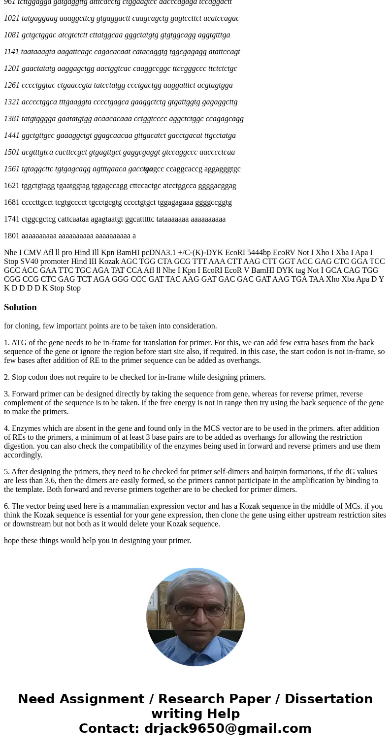 I am having trouble developing or finding the correct primers and restriction enzymes to fit the following DNA coding sequence into a selected vector for clonin I am having trouble developing or finding the correct primers and restriction enzymes to fit the following DNA coding sequence into a selected vector for clonin