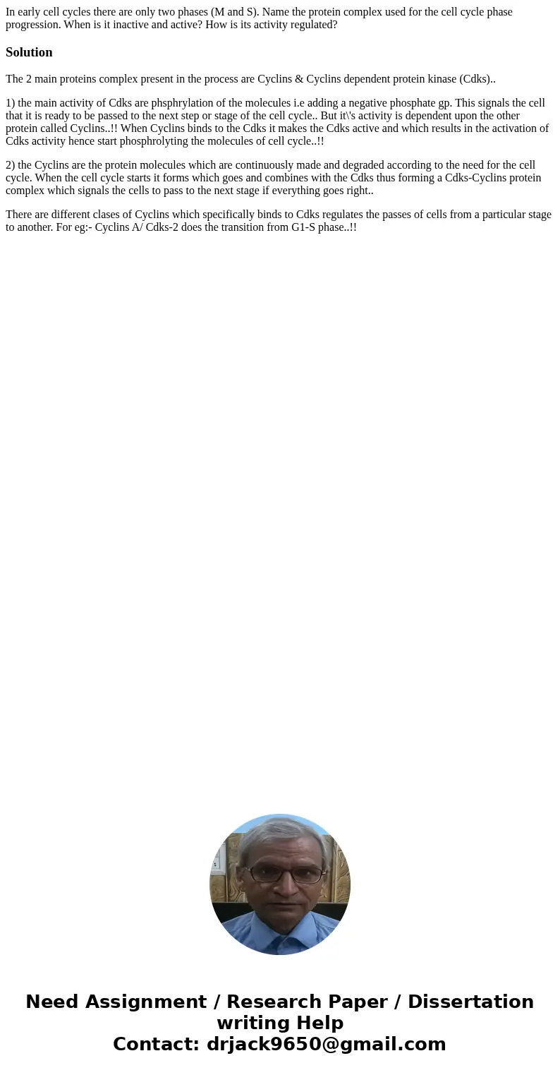 In early cell cycles there are only two phases (M and S). Name the protein complex used for the cell cycle phase progression. When is it inactive and active? Ho In early cell cycles there are only two phases (M and S). Name the protein complex used for the cell cycle phase progression. When is it inactive and active? Ho