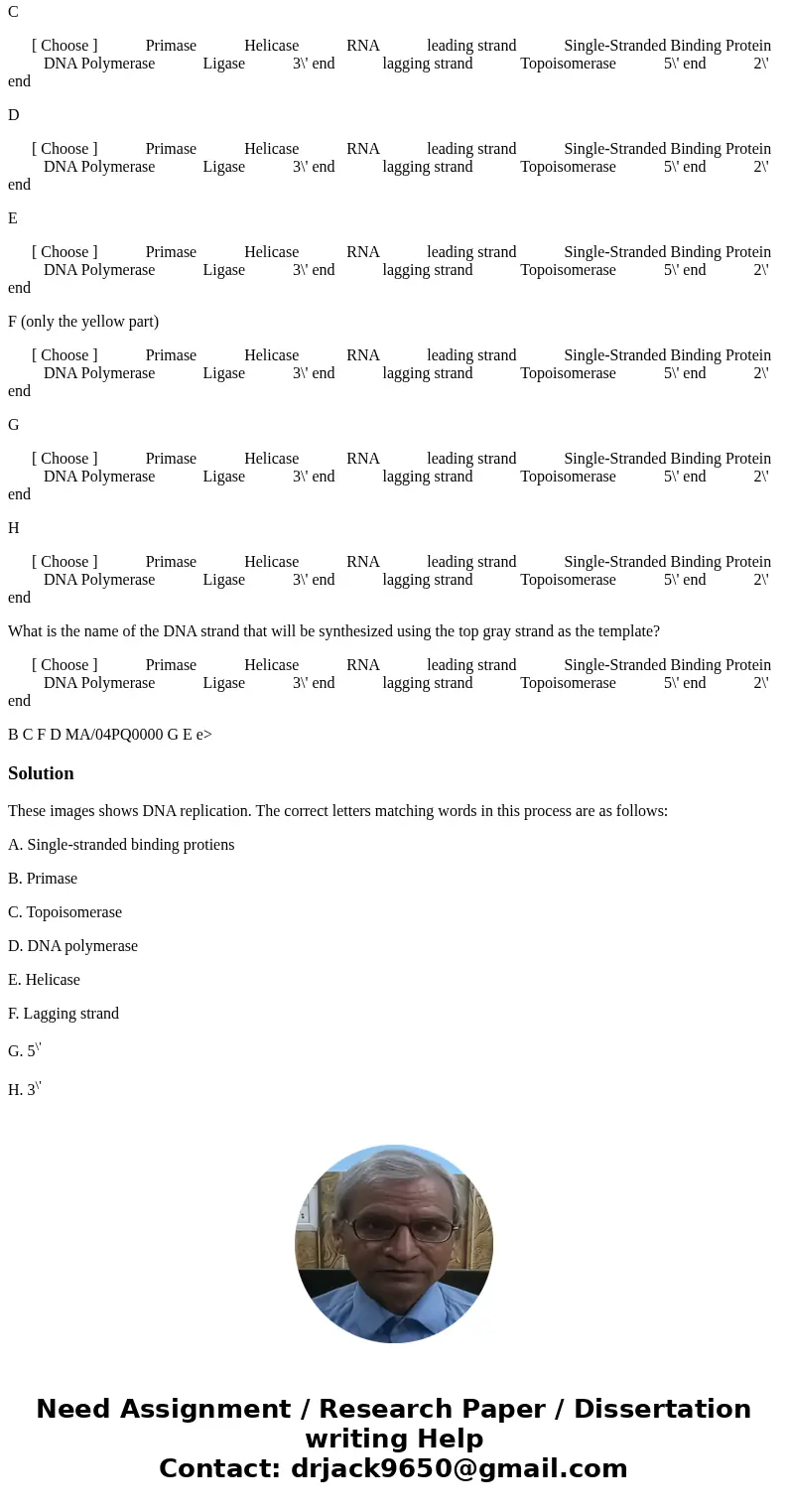 Match the letters on the image below with the correct word: A [ Choose ] Primase Helicase RNA leading strand Single-Stranded Binding Protein DNA Polymerase Liga