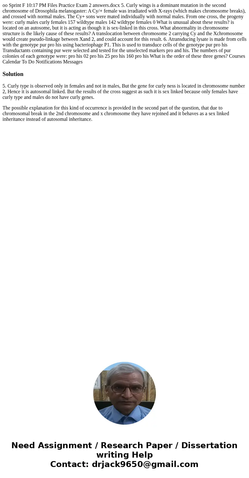 oo Sprint F 10:17 PM Files Practice Exam 2 answers.docx 5. Curly wings is a dominant mutation in the second chromosome of Drosophila melanogaster: A Cy/+ femal  oo Sprint F 10:17 PM Files Practice Exam 2 answers.docx 5. Curly wings is a dominant mutation in the second chromosome of Drosophila melanogaster: A Cy/+ femal