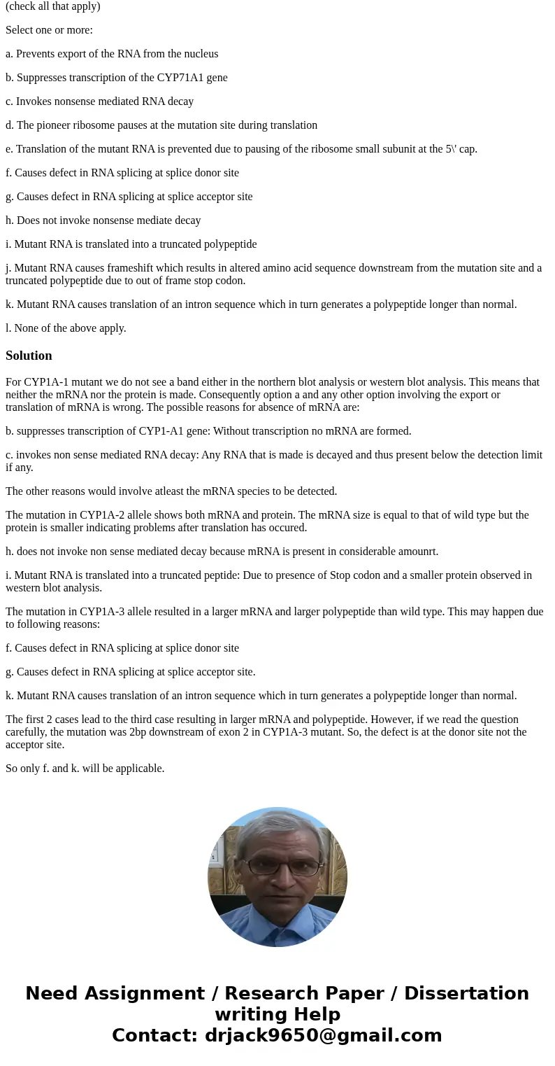 PLEASE EXPLAIN YOUR CHOICES FOR ANSWERS IN ALL 3 QUESTIONS. THANK YOU :) The mutation in the CYP1A-1 allele: (check all that apply) Select one or more: a. Preve PLEASE EXPLAIN YOUR CHOICES FOR ANSWERS IN ALL 3 QUESTIONS. THANK YOU :) The mutation in the CYP1A-1 allele: (check all that apply) Select one or more: a. Preve