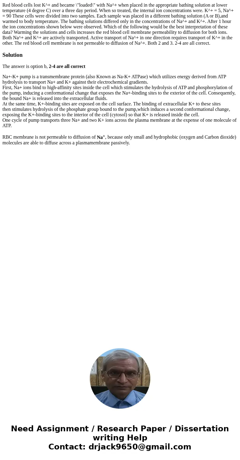 Red blood cells lost K^+ and became \  Red blood cells lost K^+ and became \