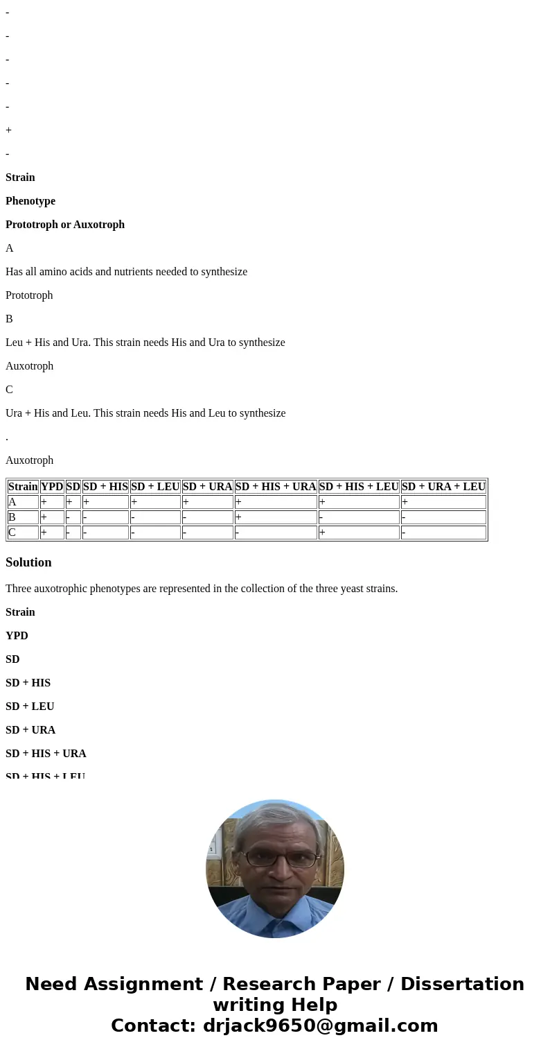 The question is .... . How many different auxotrophic phenotypes are represented in your collection of three yeast strains? Suppose you had a fourth yeast strai The question is .... . How many different auxotrophic phenotypes are represented in your collection of three yeast strains? Suppose you had a fourth yeast strai
