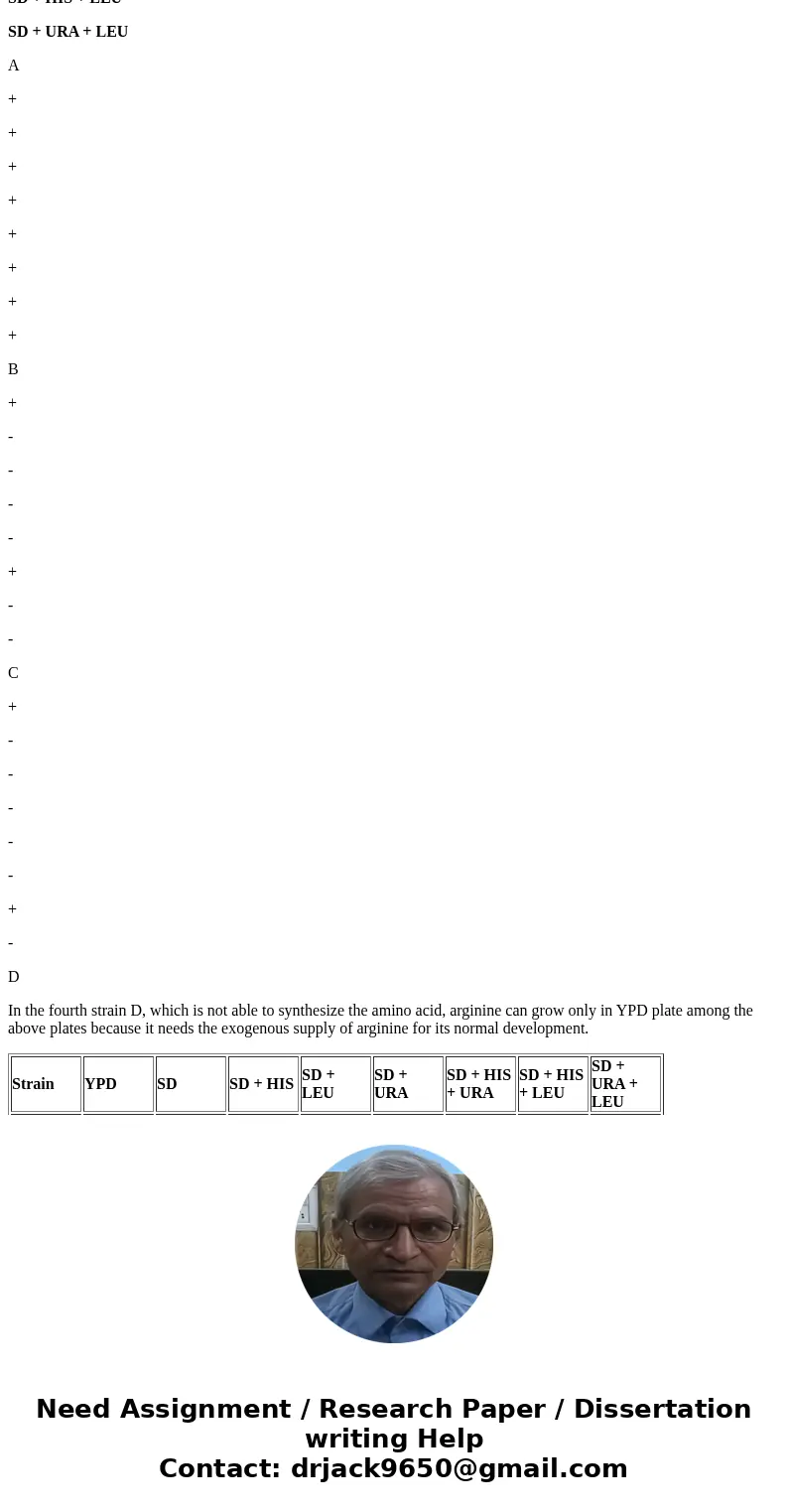 The question is .... . How many different auxotrophic phenotypes are represented in your collection of three yeast strains? Suppose you had a fourth yeast strai The question is .... . How many different auxotrophic phenotypes are represented in your collection of three yeast strains? Suppose you had a fourth yeast strai