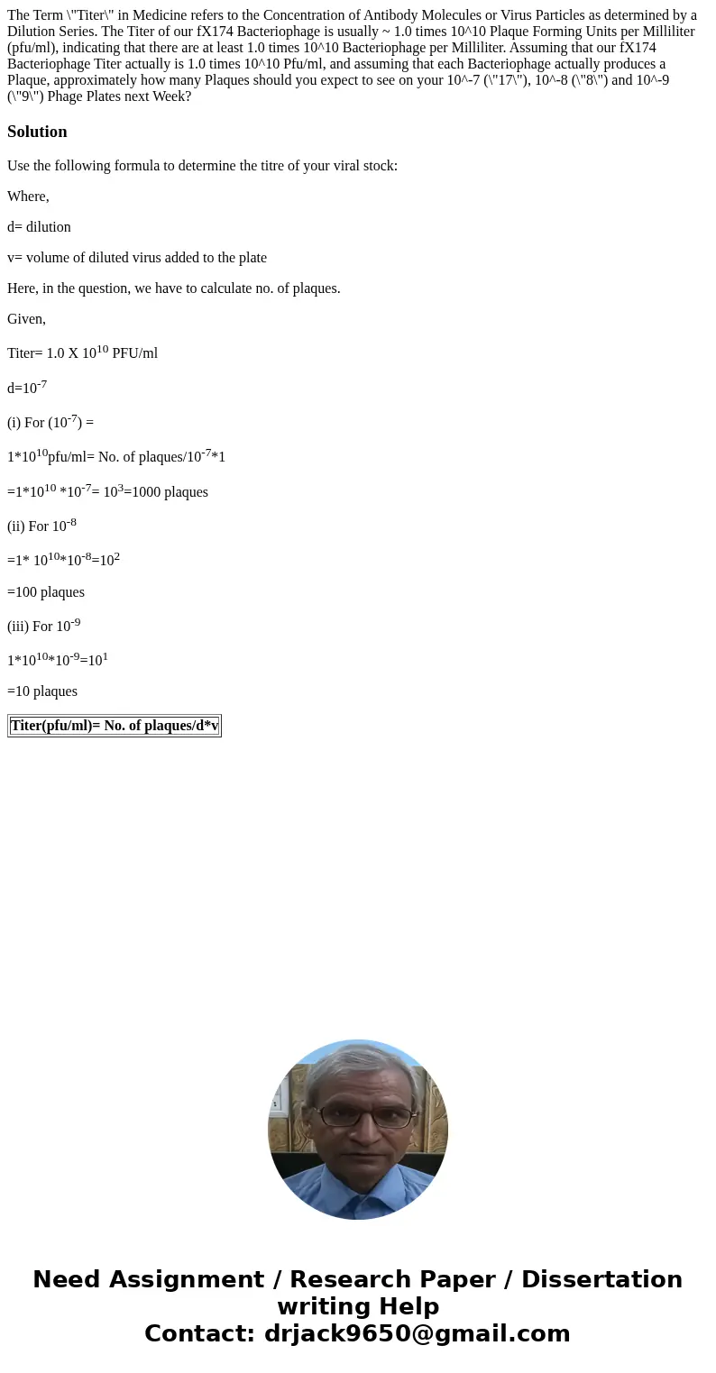 The Term \  The Term \