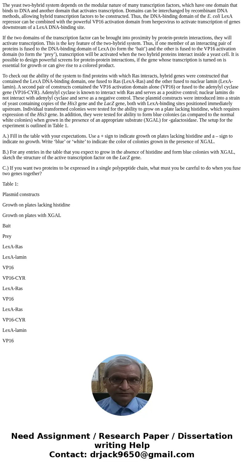 The yeast two-hybrid system depends on the modular nature of many transcription factors, which have one domain that binds to DNA and another domain that activat