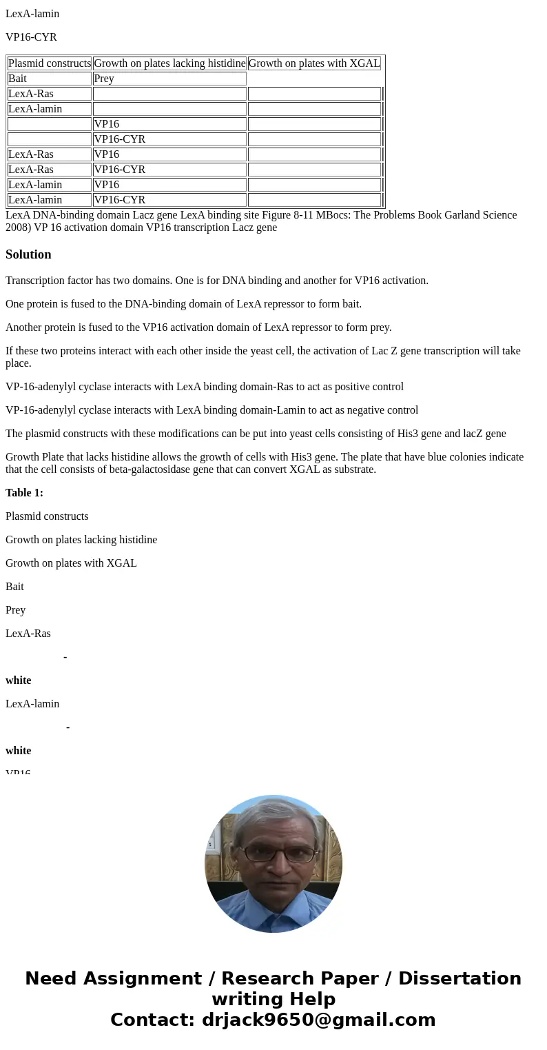 The yeast two-hybrid system depends on the modular nature of many transcription factors, which have one domain that binds to DNA and another domain that activat