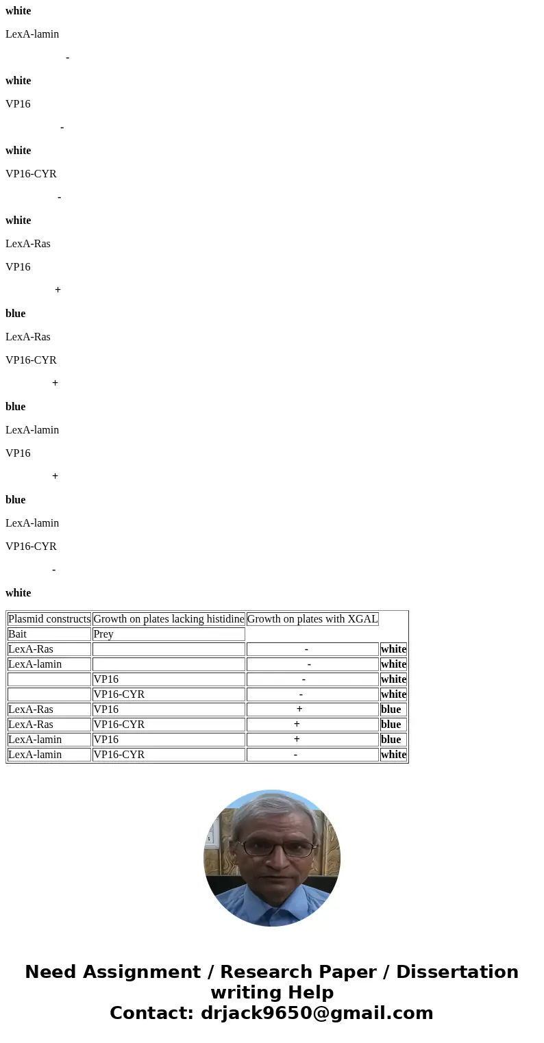 The yeast two-hybrid system depends on the modular nature of many transcription factors, which have one domain that binds to DNA and another domain that activat